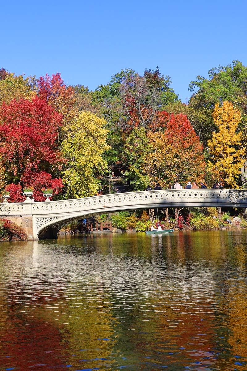 Fall colors at Bow Bridge and the Lake at Central Park in New York City