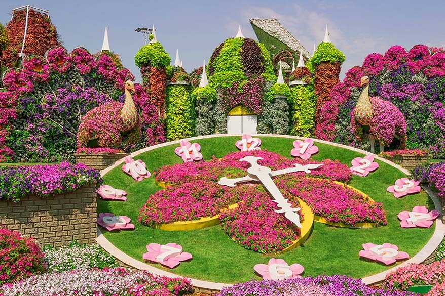 Flower displays at Dubai Miracle Garden