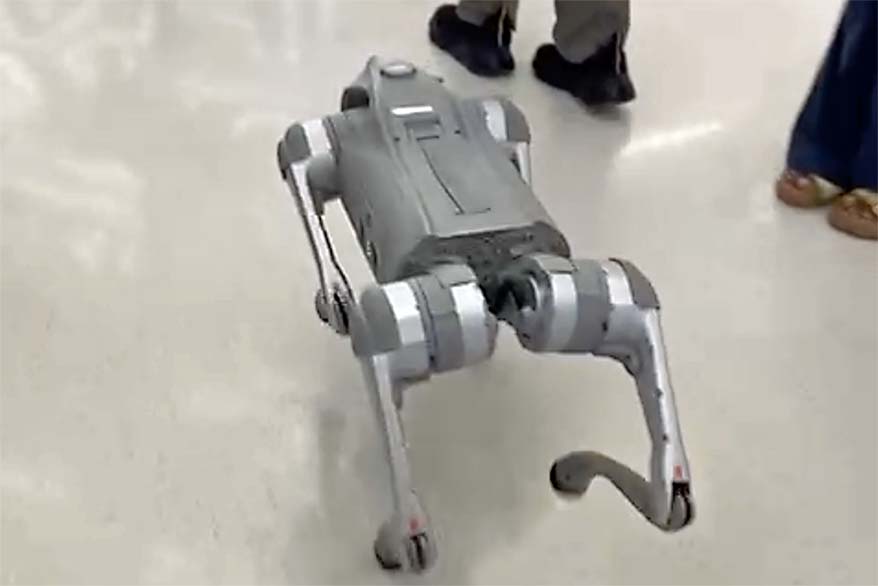 Robot dog at the Dubai Museum of the Future