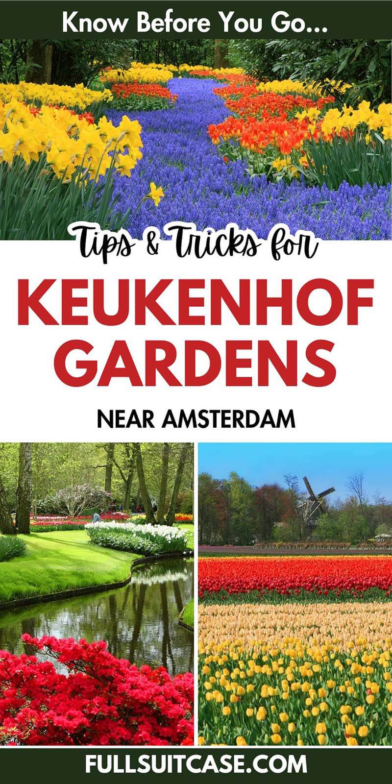 Tips for visiting Keukenhof gardens near Amsterdam in the spring