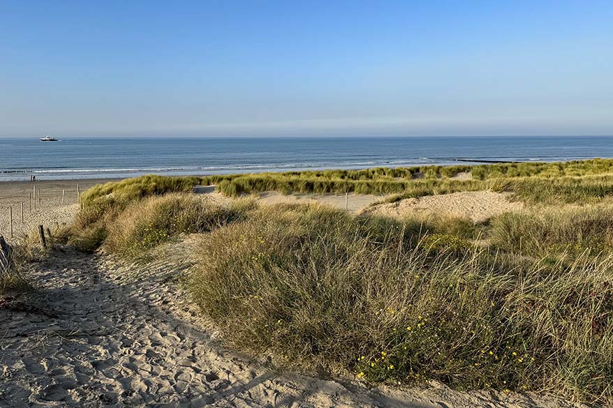 Belgian coast - dunes and beach in Oostende