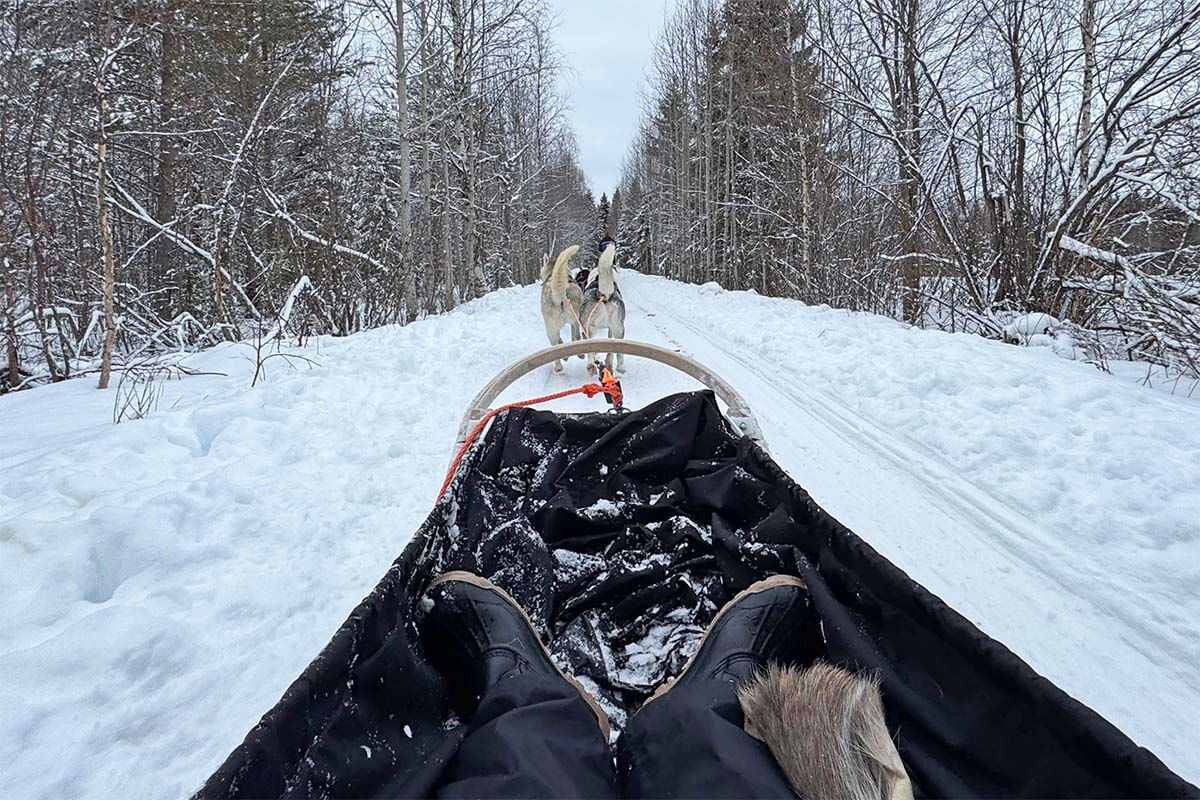 Husky sledding in Lapland in winter