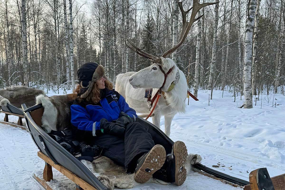 Jurga in a reindeer sled in Lapland in winter