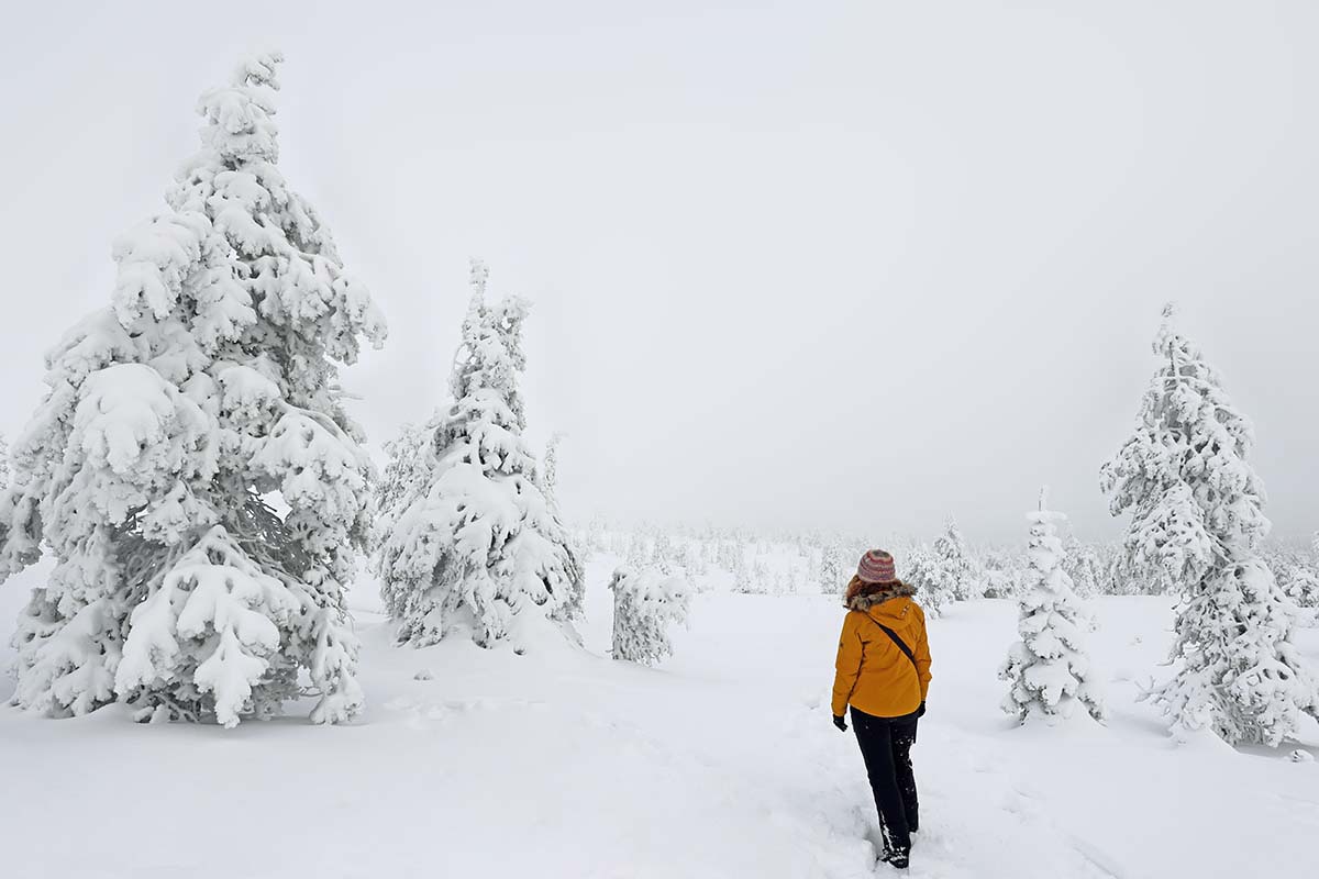 Lapland travel tips for a winter visit