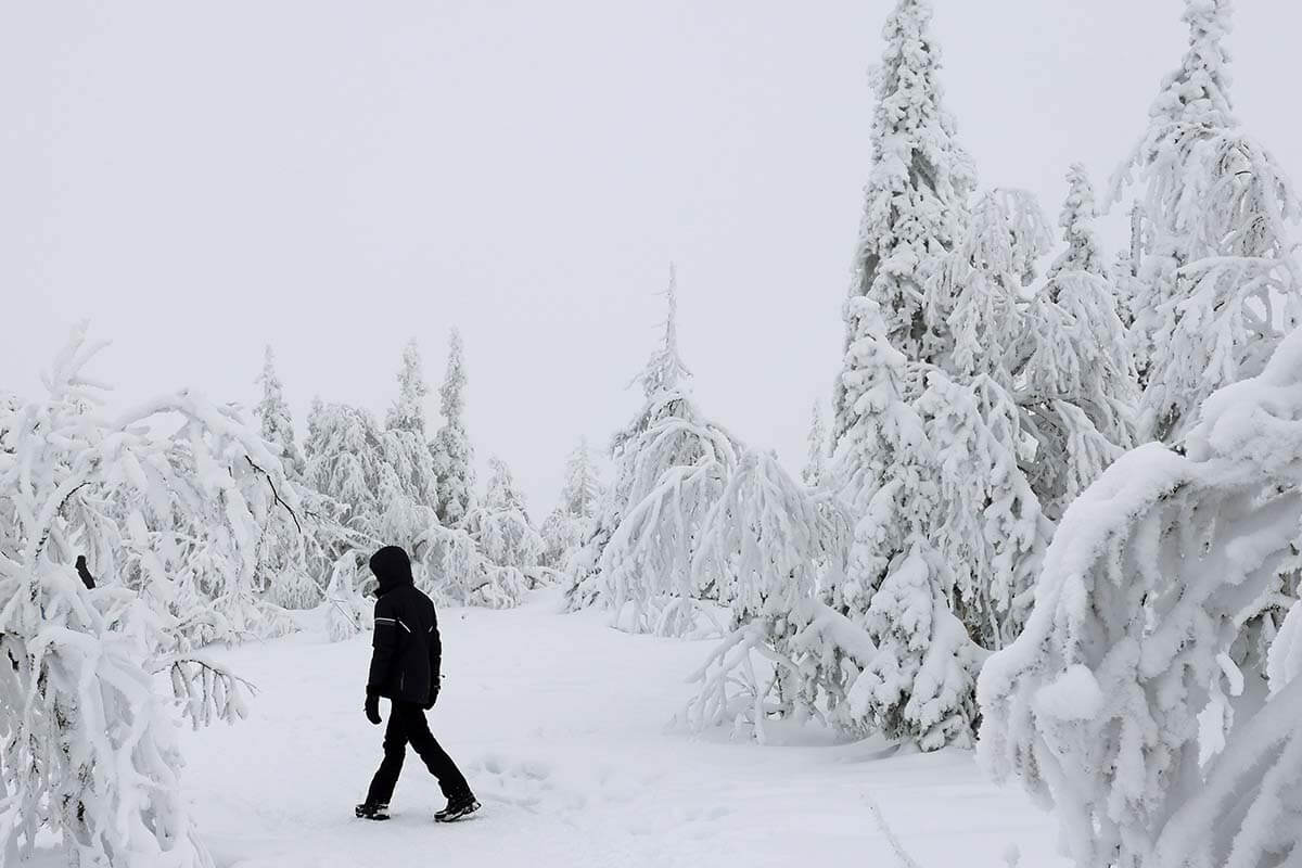 Person walking in a frozen forest in Lapland in winter