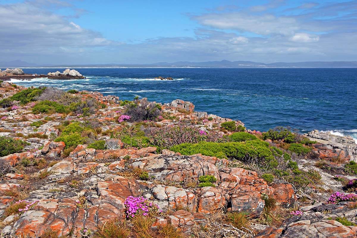 Coastline in Hermanus, South Africa