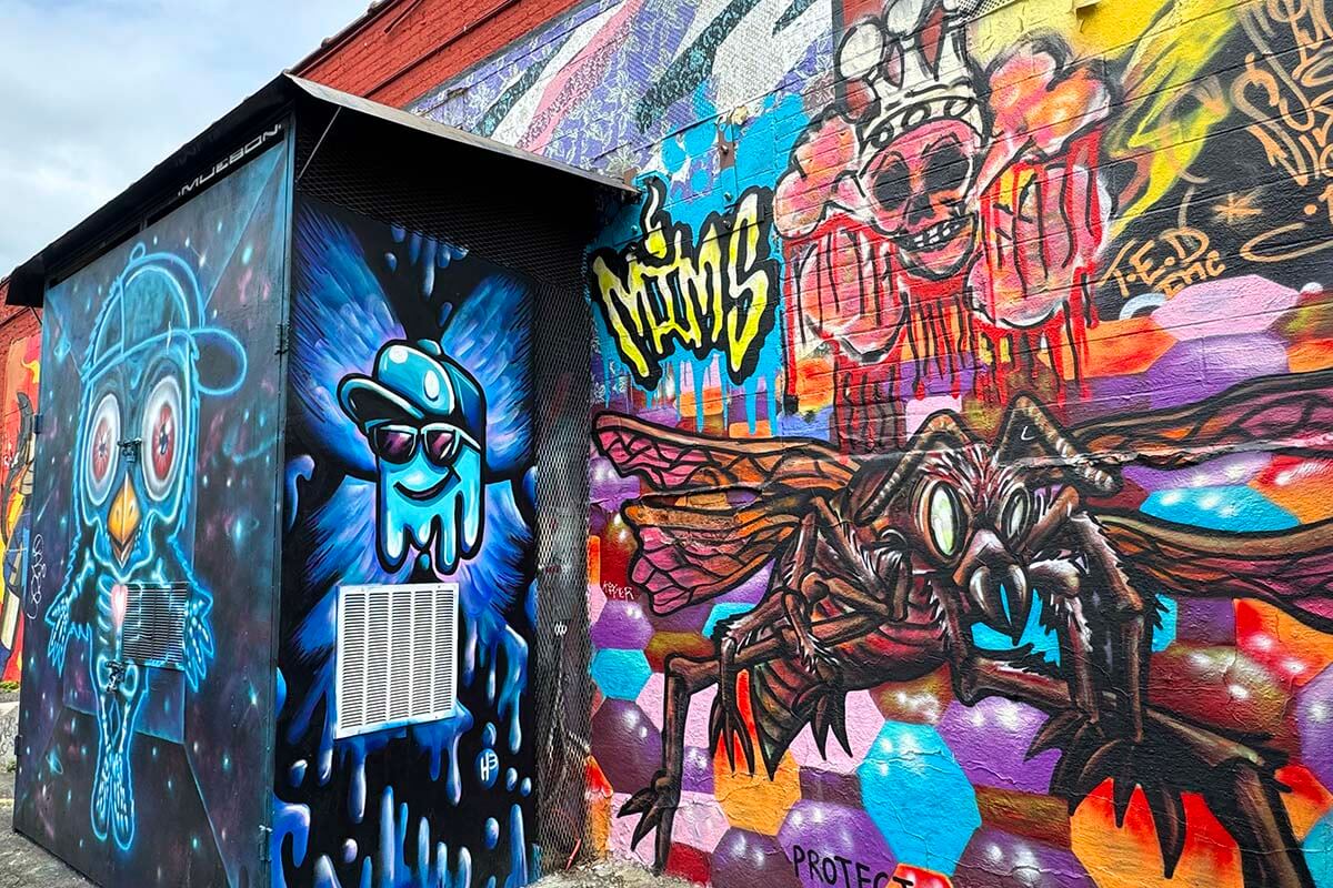 Brooklyn street art tour - one of the attractions included with the Go City New York Explorer Pass