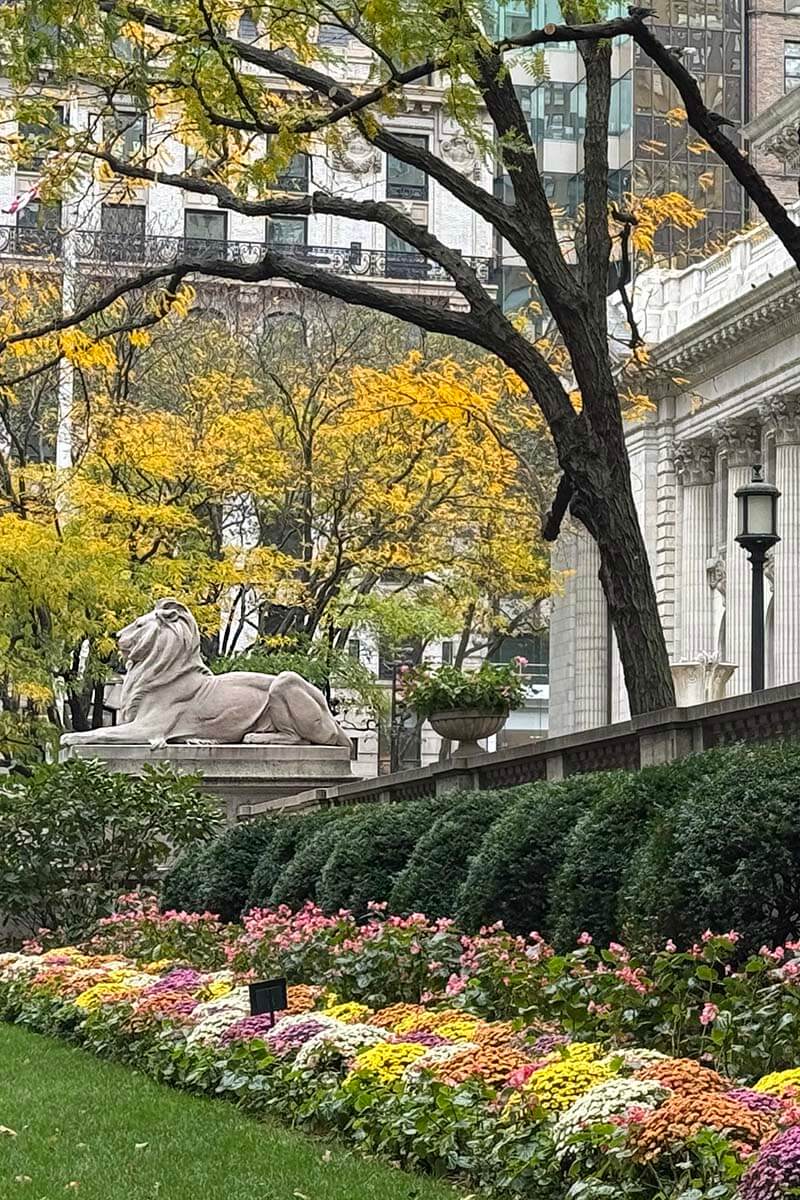 New York Public Library - Fall Colors in November
