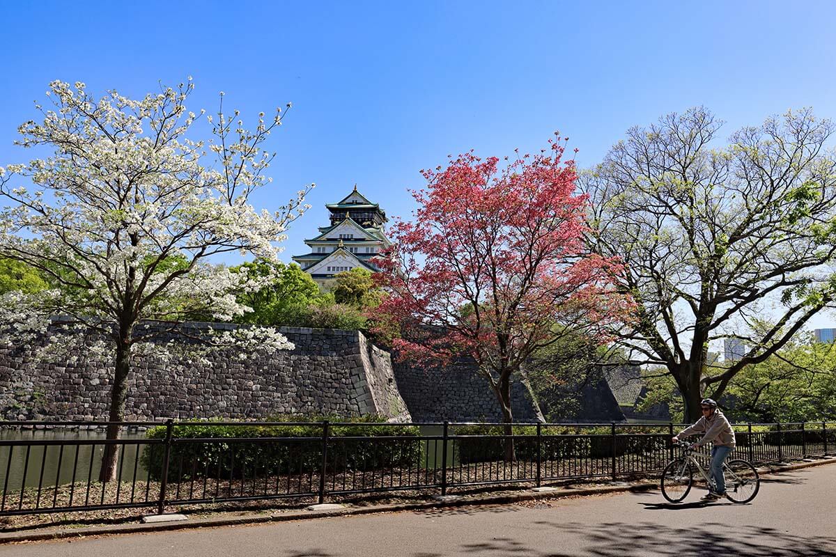 Bike tour in Osaka Japan with teens