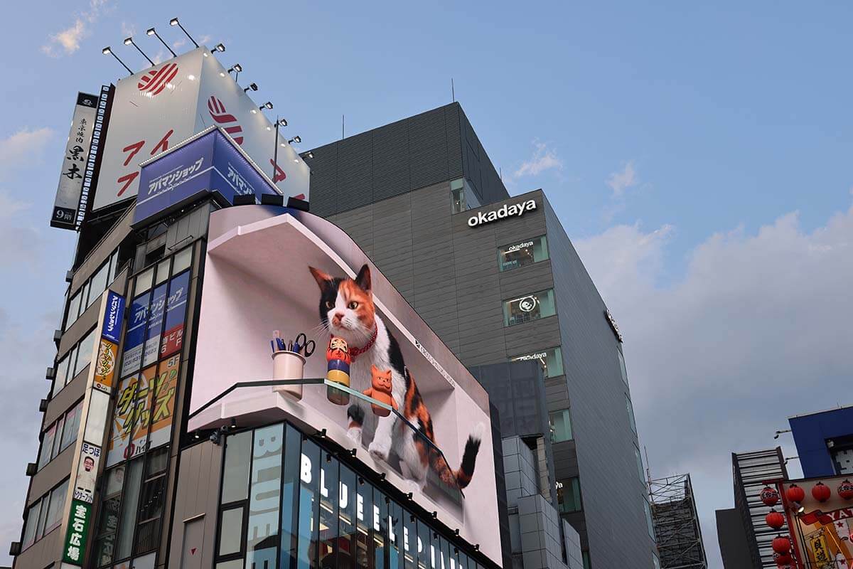 Cat Board in Shinjuku Tokyo