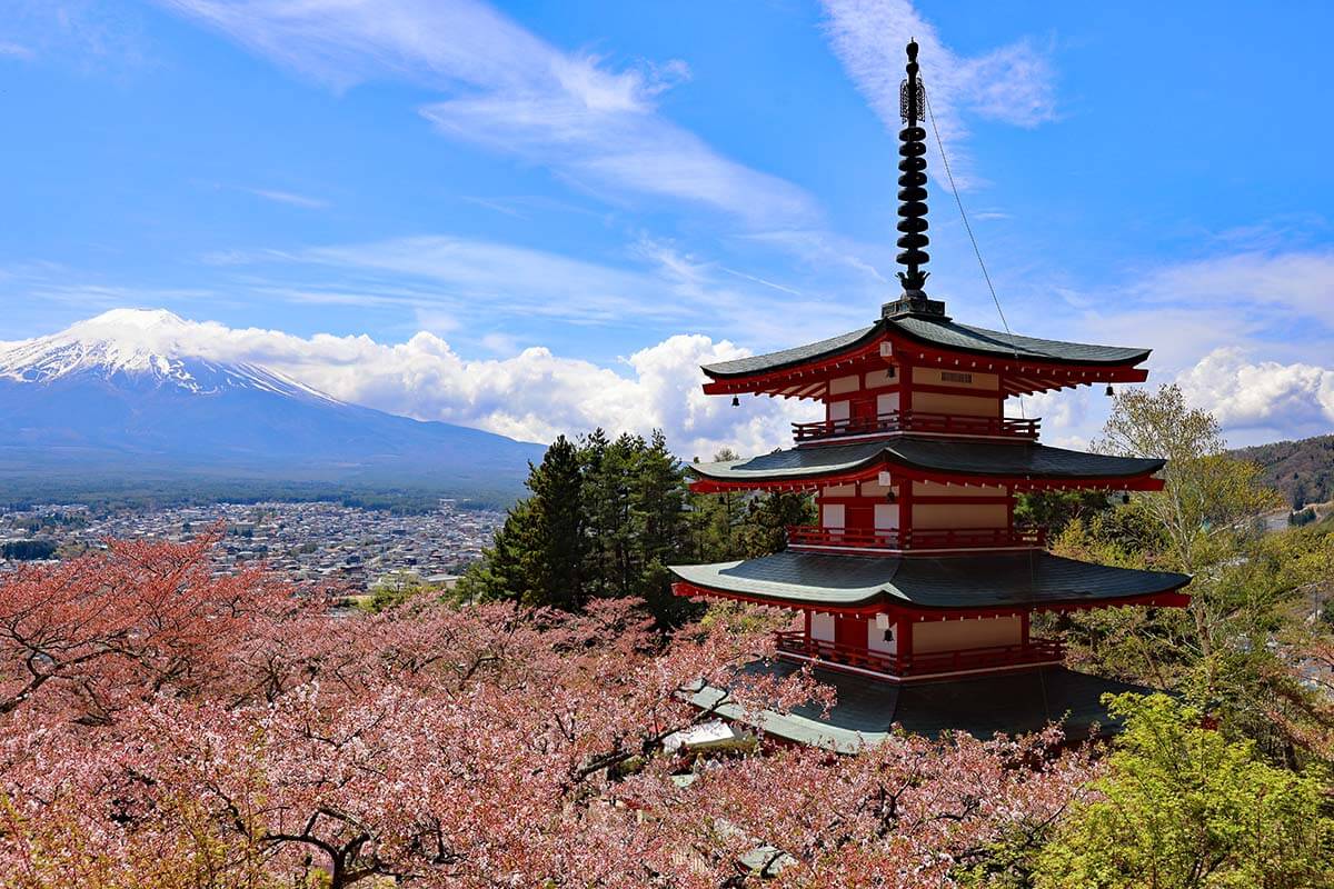 Chureito Pagoda and Mt Fuji with cherry blossoms in spring