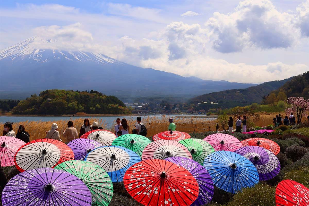Japan Mt Fuji and colorful umbrellas
