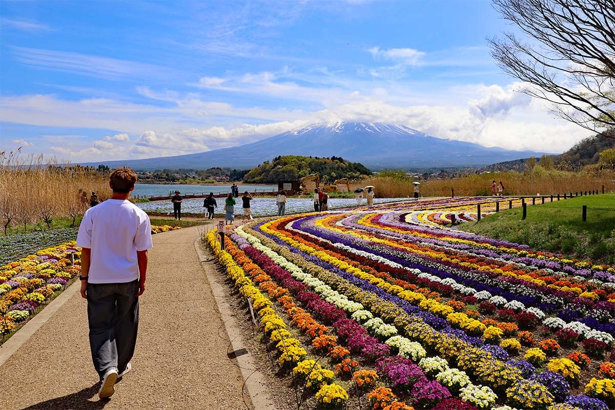 Mt Fuji views from Oishi Park at Lake Kawaguchi, Japan with teens