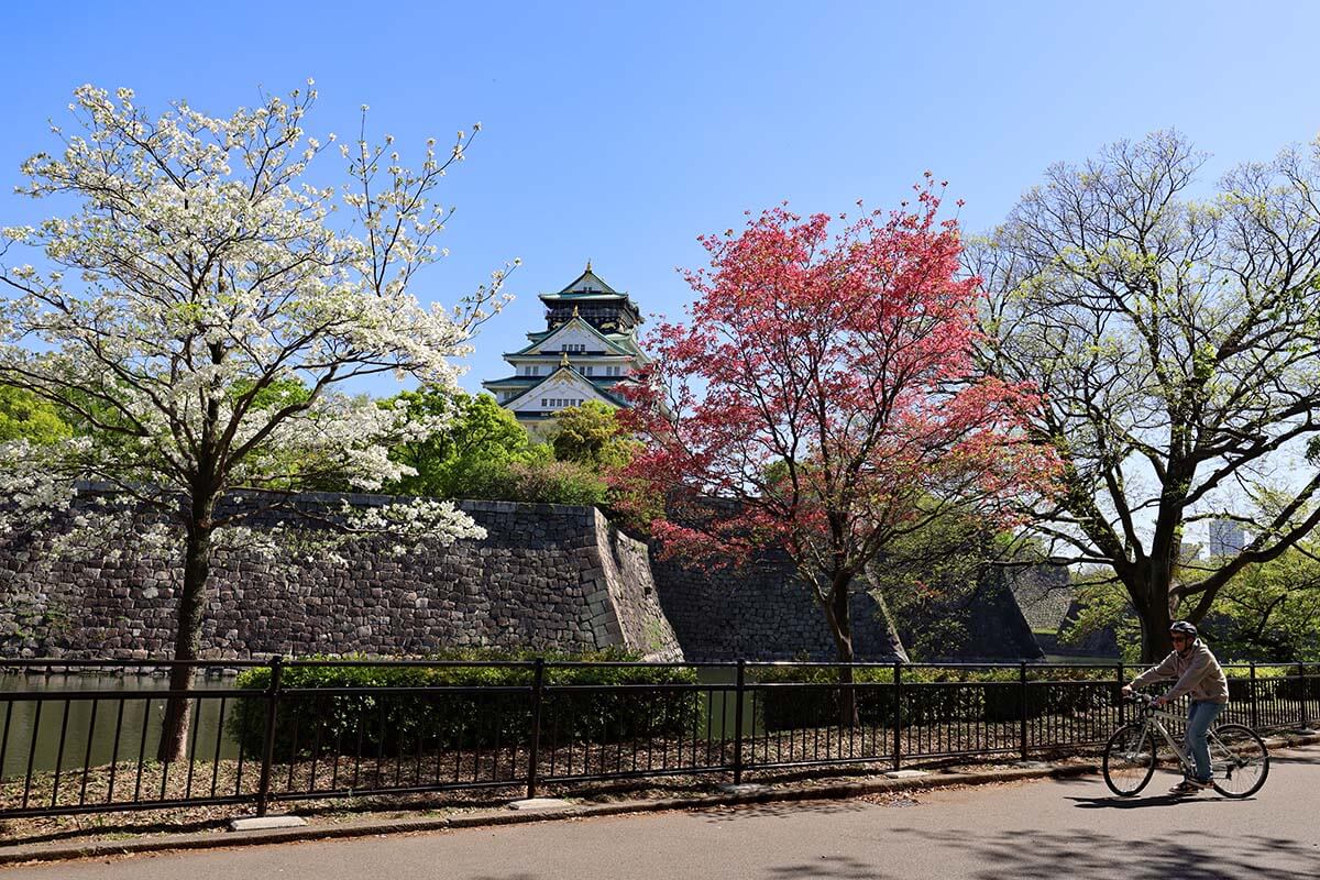 Osaka bike tour - biking near Osaka Castle and beautiful spring blossoms