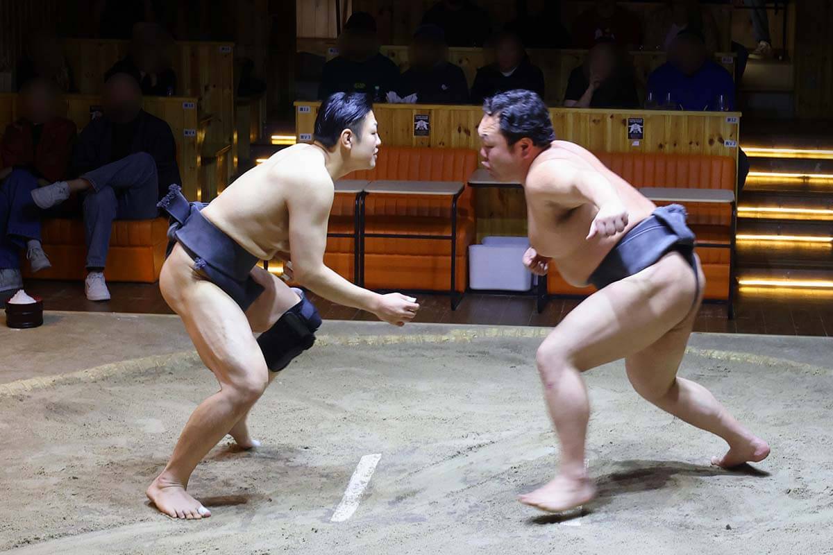 Sumo wrestlers at the Asakusa Sumo Club in Tokyo