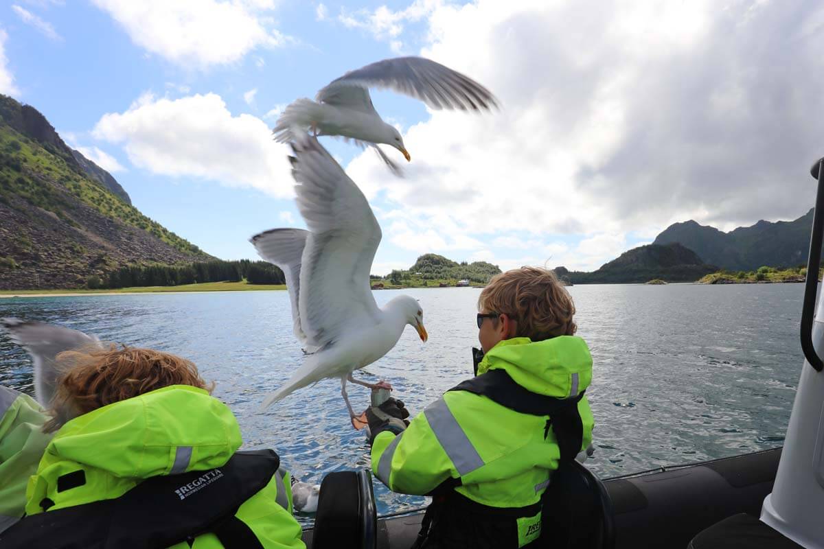 Children feeding seagulls during a wildlife boat tour in the Lofoten Islands, Norway