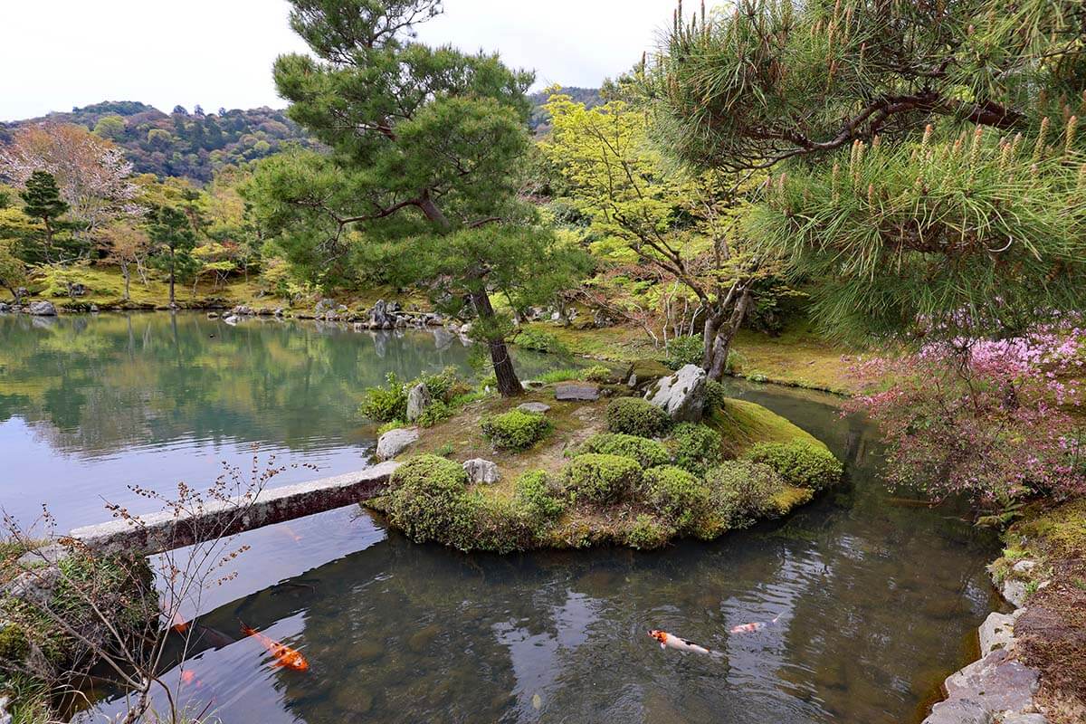 Japanese garden at Tenryu-ji temple in Arashiyama