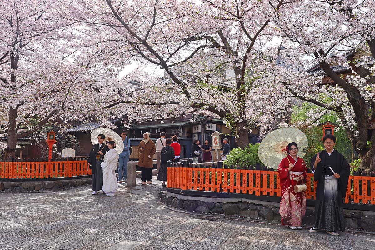 Japanese people in traditional kimonos at Tatsumi Bridge, Gion, Kyoto