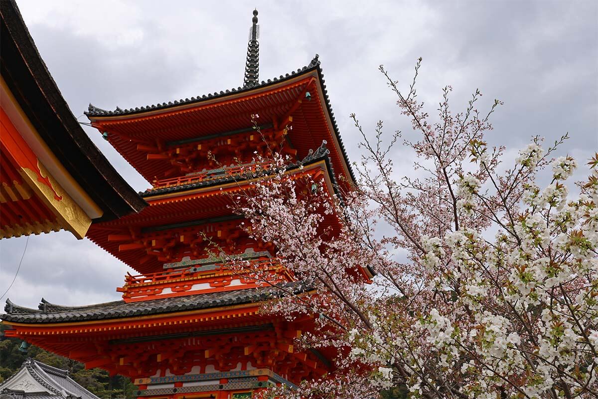 Kyoto itinerary - Kiyomizu-dera pagoda and cherry blossoms