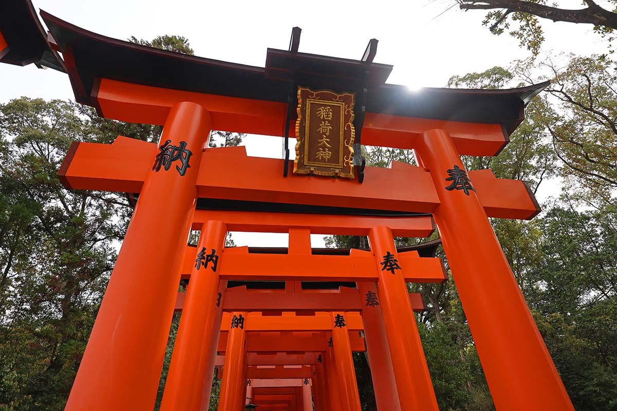 Orange torii gates at Fushimi Inari Taisha in Kyoto