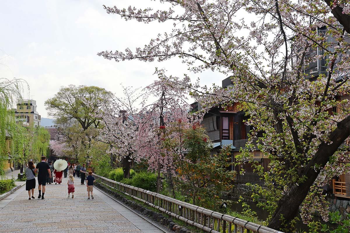 People walking near Shirakawa Canal in Gion Kyoto