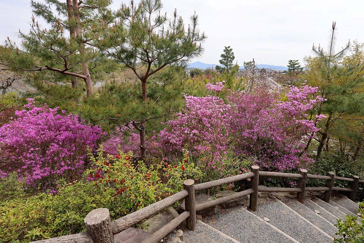 The gardens of Tenryu-ji temple in Arashiyama Kyoto