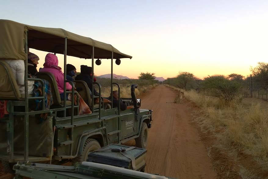 Travelers wearing warm jackets and blankets on an early morning game drive in Namibia