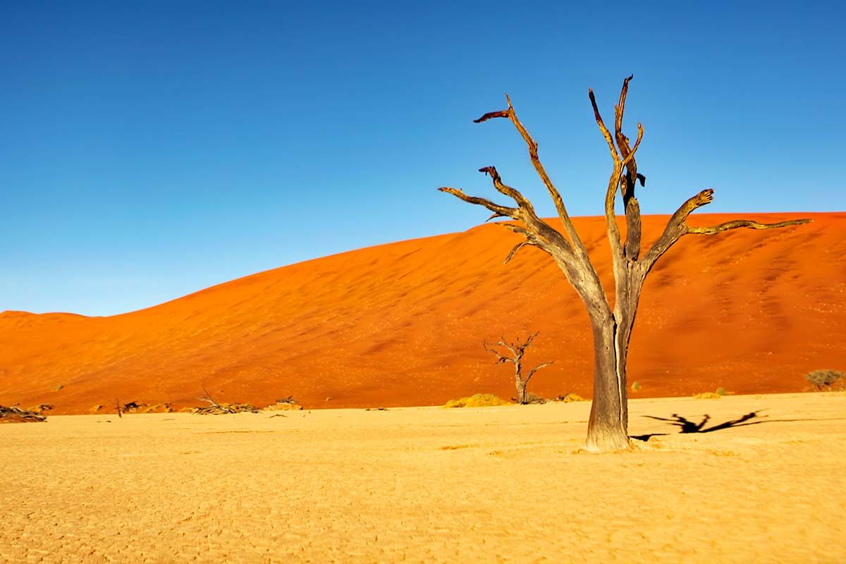 Deadvlei in Sossusvlei, Namibia