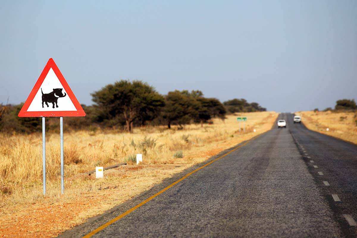 Warthog warning road sign in Namibia