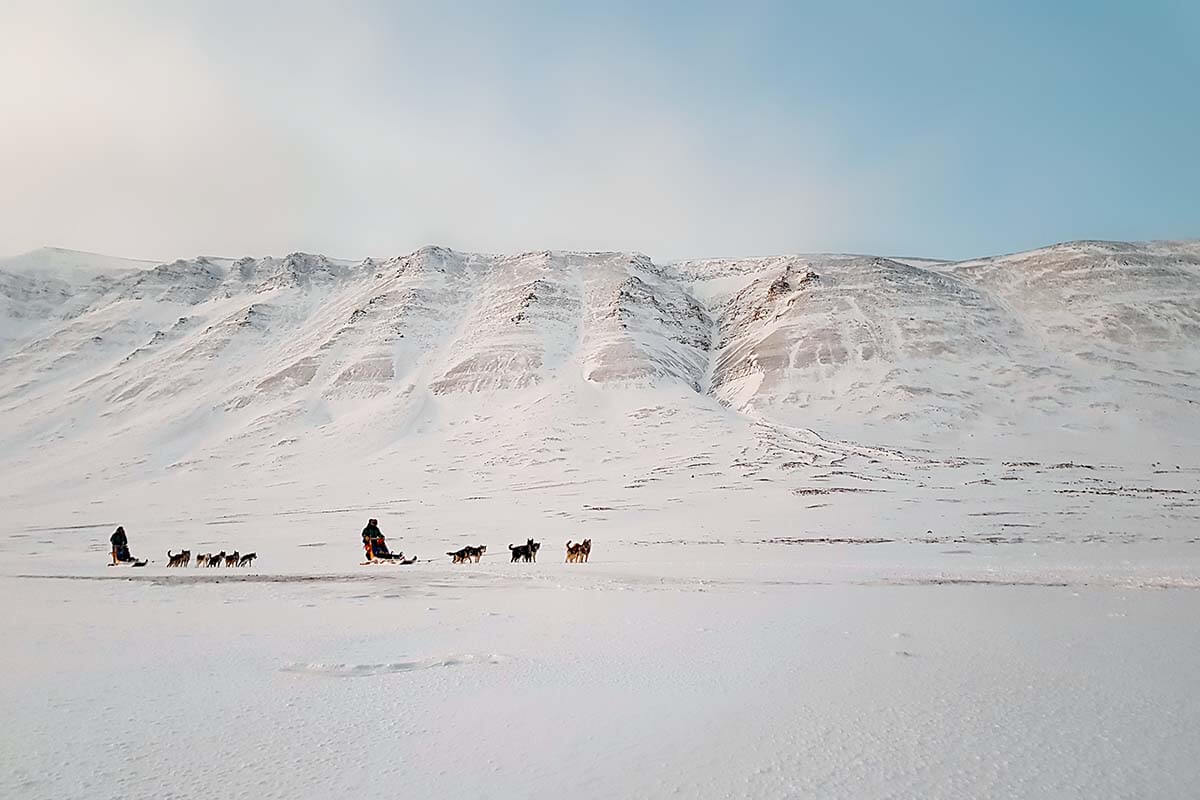 Snowy arctic landscape with husky sleds in Svalbard in winter